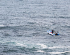 Charter de pesca “O Salseirazo”